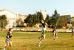 IM Football 1981